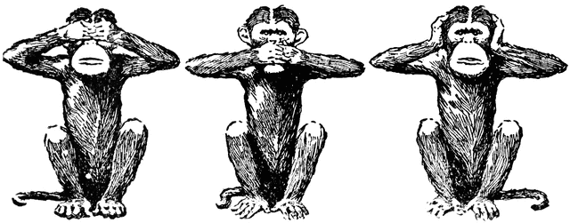 monkeys_22027_md.gif