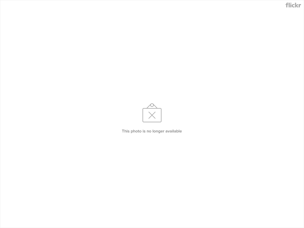 4426057356_8c7ffcb989_o.jpg