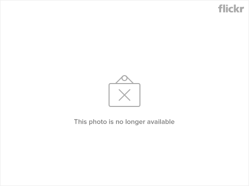 5921213308_96bea14a92_b.jpg