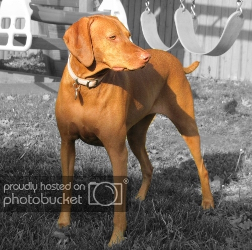PennyBWsmall_zpsc280143f.jpg