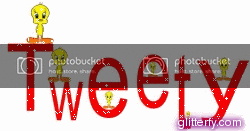 tweety_banner.gif
