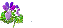 thanksviolet.gif