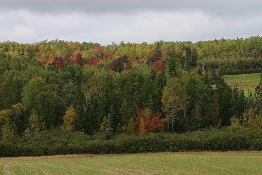 colours11.jpg