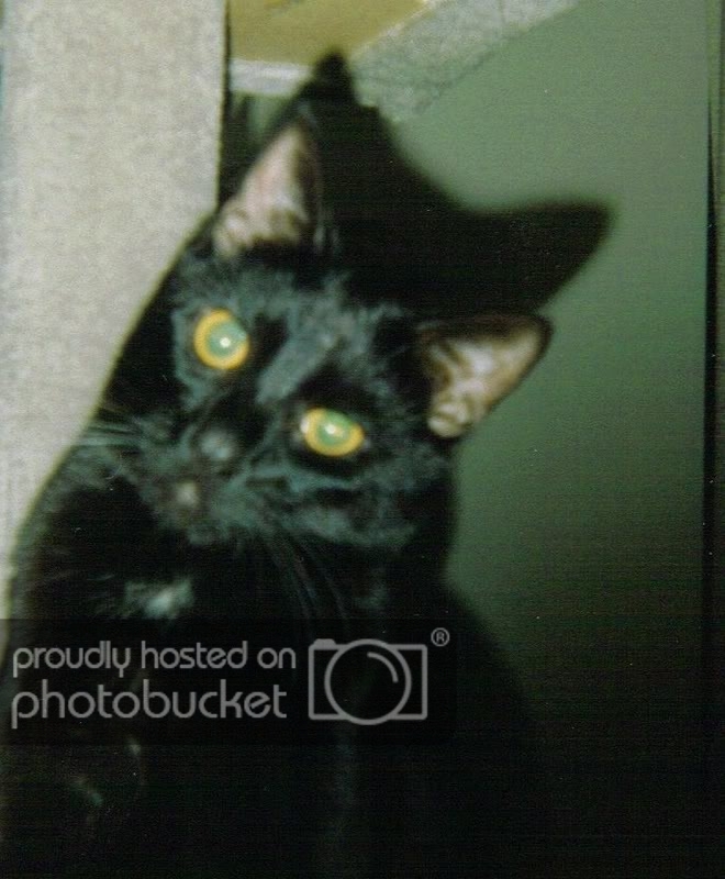 01-02-2006094611PM2.jpg