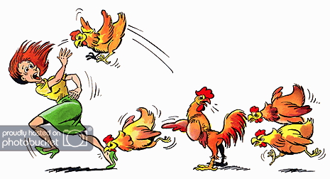 chicken-attack.gif