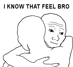 i-know-that-feel-bro.png