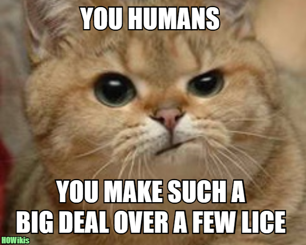 Lice.png