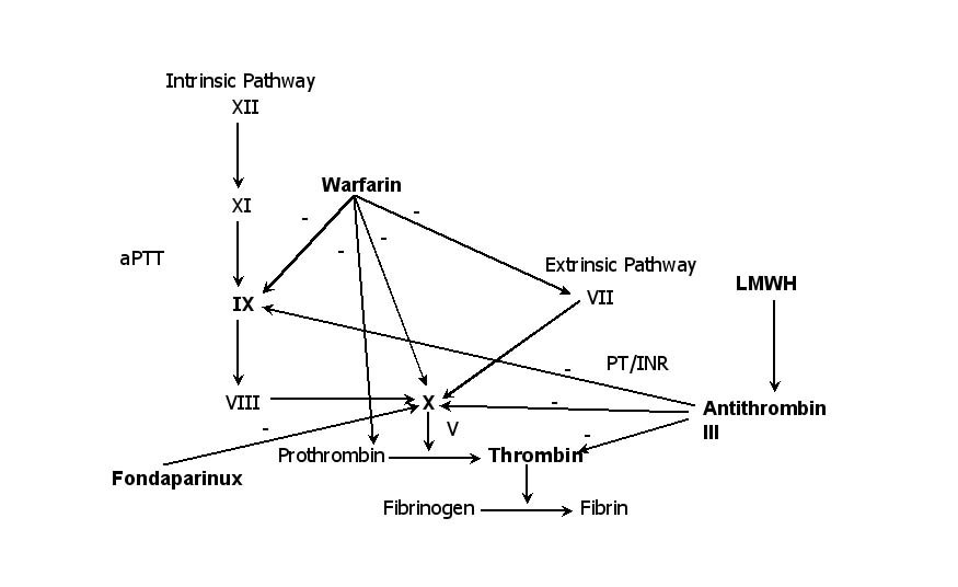 coag%20pathwaydrugs.jpg