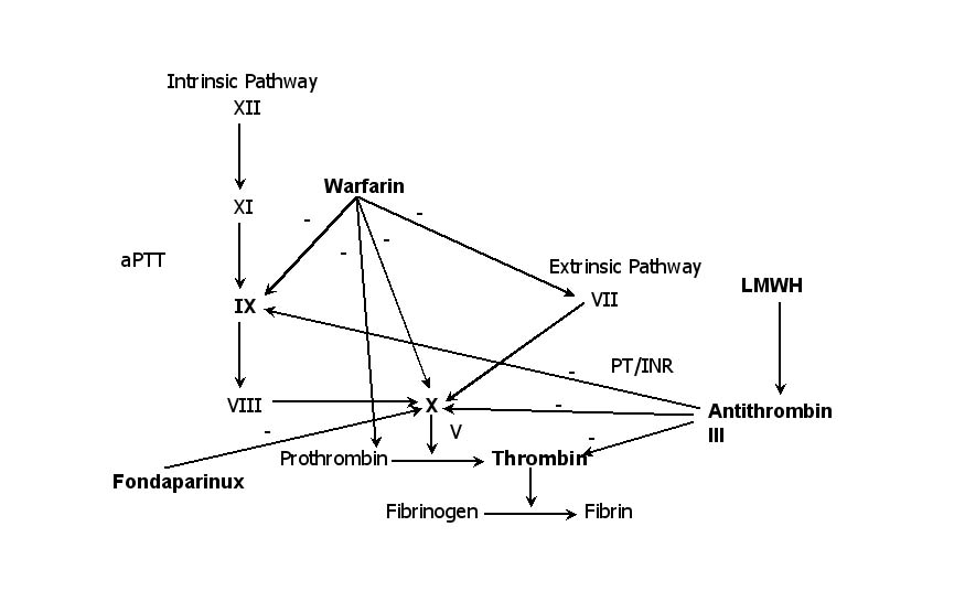 coag%20pathwaydrugs.jpg