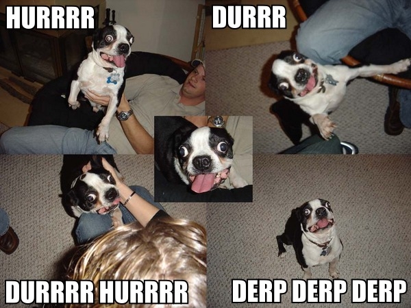 derp-derp-derp-derp.jpg