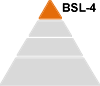 bsl-4.png