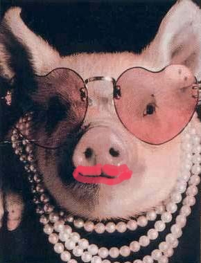 lipstick-on-a-pig.jpg