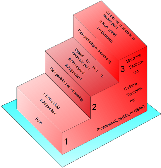 550px-WHO_Analgesic_Ladder.png