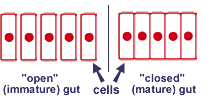 opengut.gif
