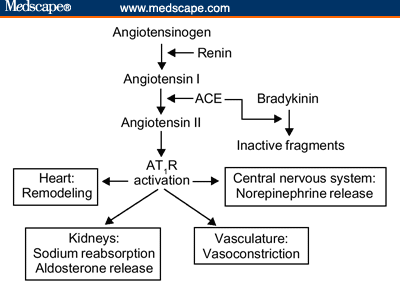 art-ajhp440225.fig1.gif