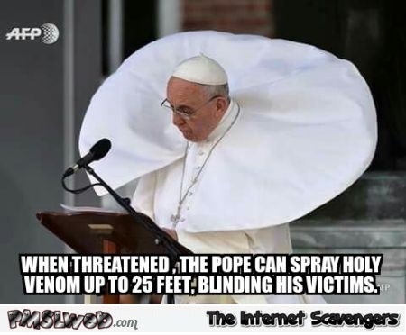 9-pope-can-spray-holy-venom-meme.jpg