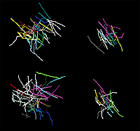 24727C44-E7F2-99DF-3A95DD386F68E61C_1.gif