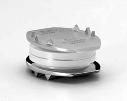 disc_replace_fig3-BB.jpg