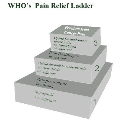 painladder.jpg