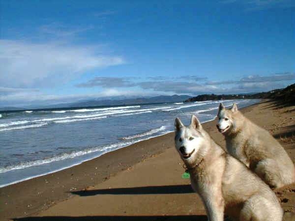 Copyofmisty202620suntar1.jpg?t=1193093964