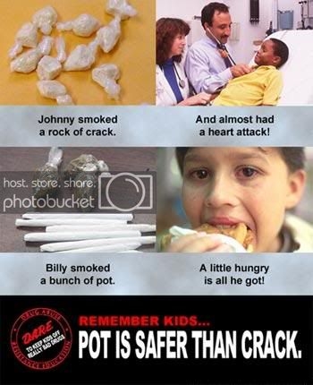 pot_is_safer_than_crack.jpg