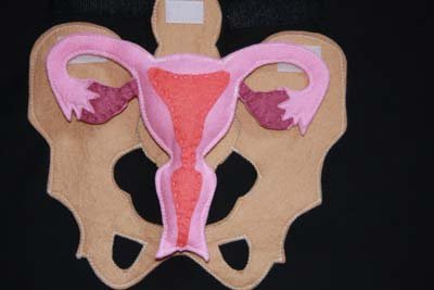 uterus-1.jpg