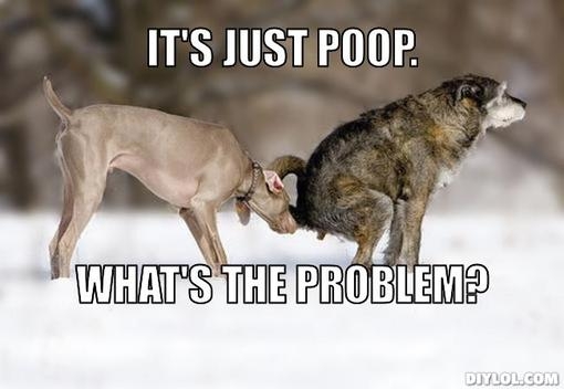 pooping-dog-meme-generator-it-s-just-poop-what-s-the-problem-00be79.jpg?6e7d2a