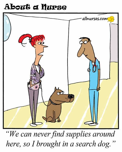 nurse-search-dog.jpg.6e4a4e401d970ded17cc946be3f915e2.jpg
