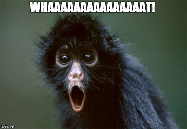 whaat-meme.jpg.3a092c2b87b470b31edee17452fff5a7.jpg