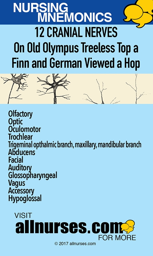 582901223_mnemonics-12cranialnerves.jpg.57a7d68e7f419cf533233478ad421e4e.jpg
