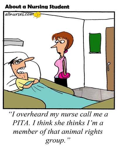 nursing-student-pita-nurse.jpg.fe48e828268bdcc8dc07eaba2200763c.jpg