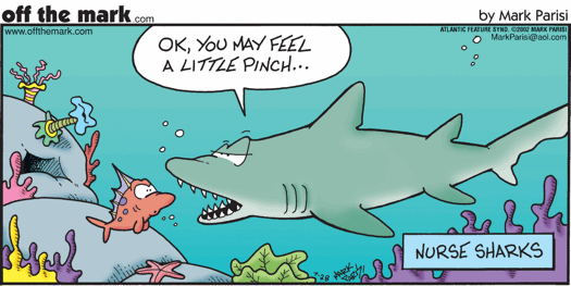 Nursing_Cartoon_nurse_sharks.gif.45bc7736b871a9c2decbbc98c5a656ab.gif