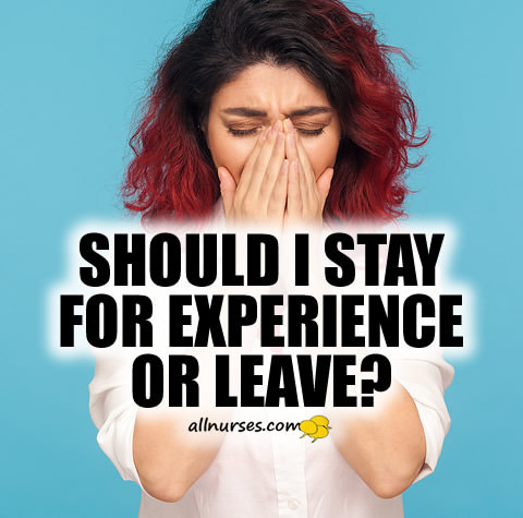 stay-for-experience-or-leave.jpg.dde7b28ae465ca41cdb3bc3ed3783a0a.jpg