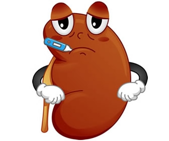 Floating Kidneys: An Era Gone By