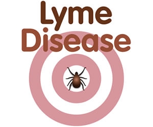 Lyme Disease in Camp Nursing Practice