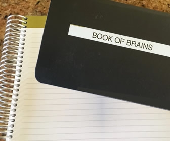 Mental Illness: Debunking the Myths, Sharing Some Insight