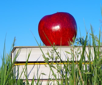 A Nation Of Nonreaders