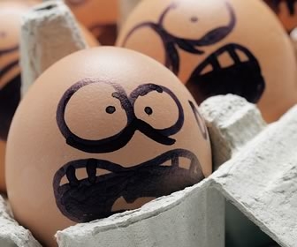 For the Bowel Obsessed