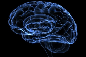 Can you solve this neurological case study?