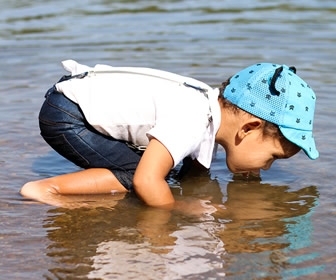 What is the role of a public health nurse?