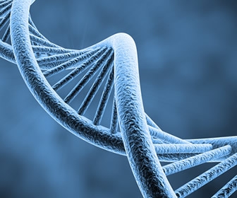 Home Genetic Testing - Should You?