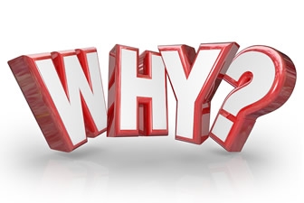 The Ultimate Question, Why?