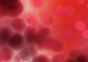 Blood of Chester, Norristown, and Coatesville: A Woman from Chadwicks - Part Four