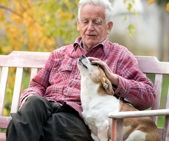Dog Therapy As Good Medicine For Seniors