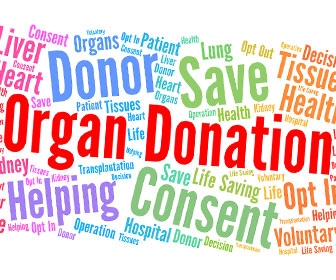 Live donors of livers, hearts, lungs???