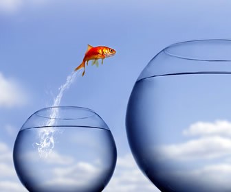 Don't Just Stand There - Take a Leap!