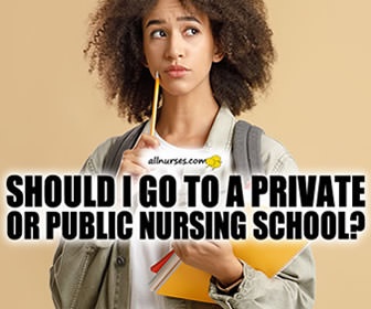 Public or Private:  Which is the Best Nursing Program?
