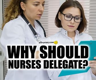 The Art of Delegating | What Nurses Do