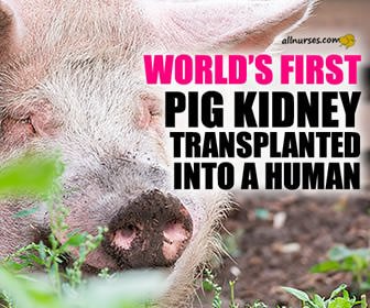 UAB Announces Xenotransplantation Breakthrough
