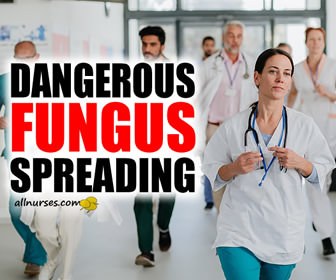 Emerging species of yeast threatening immunocompromised